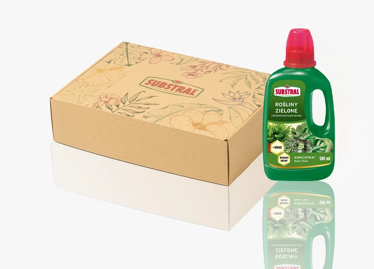 personalizowane kartony fasonowe substral zadbaj o wizerunek swojej marki