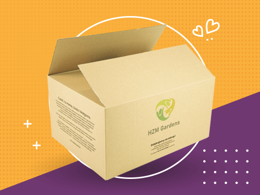 pudełka z logo firmy